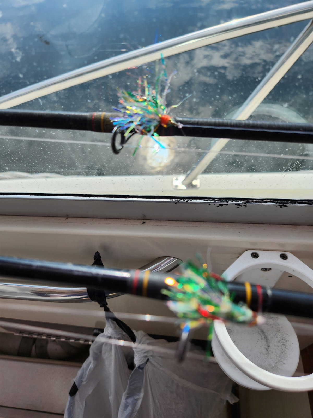 Charter fishing catch on Lake Michigan near Milwaukee