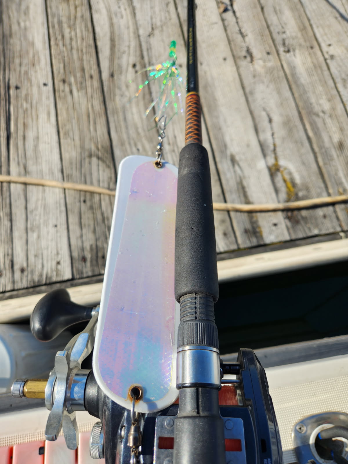 Milwaukee Lake Michigan fishing charter with guide