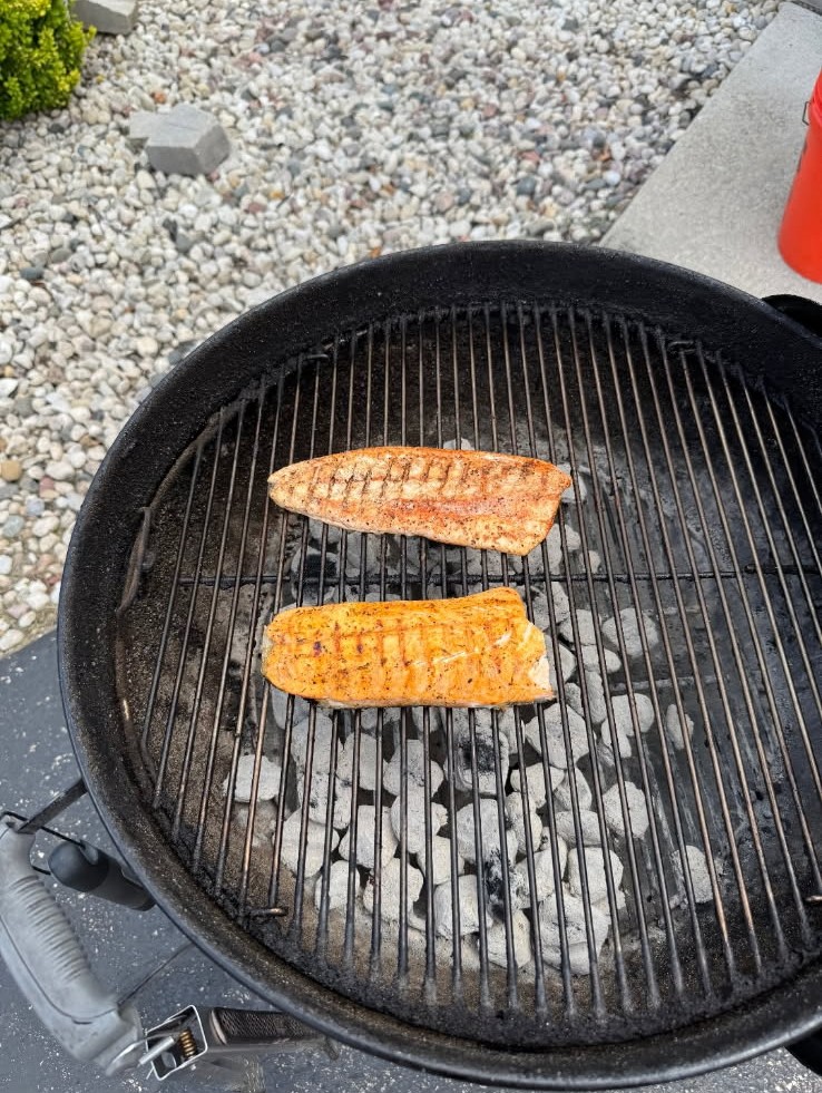 Lake Michigan Milwaukee charter fishing outing