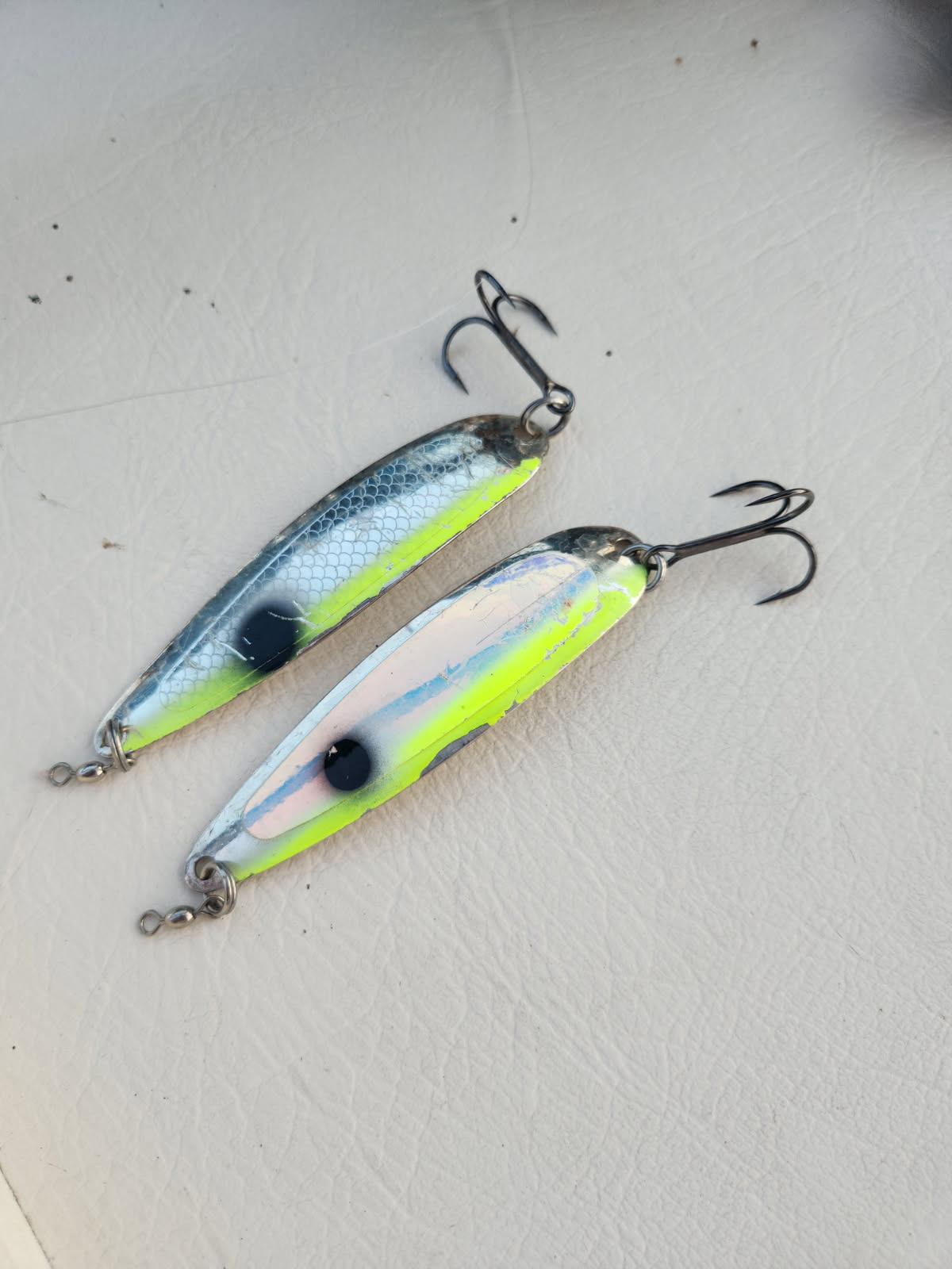 Wisconsin charter fishing outing on Lake Michigan